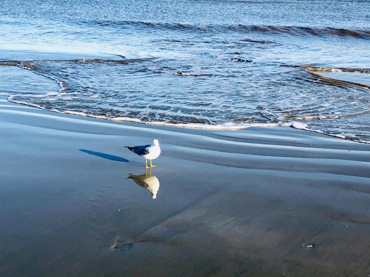 Salty Breeze At Demere Landing Unit 168 - Salt Air Dr St. Simons Island Exterior photo